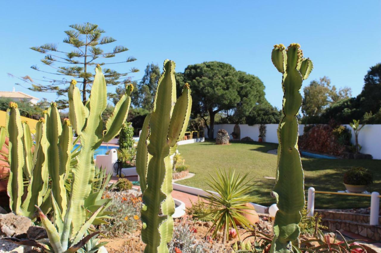 Casa Areias Boutique Apartments Albufeira Dış mekan fotoğraf