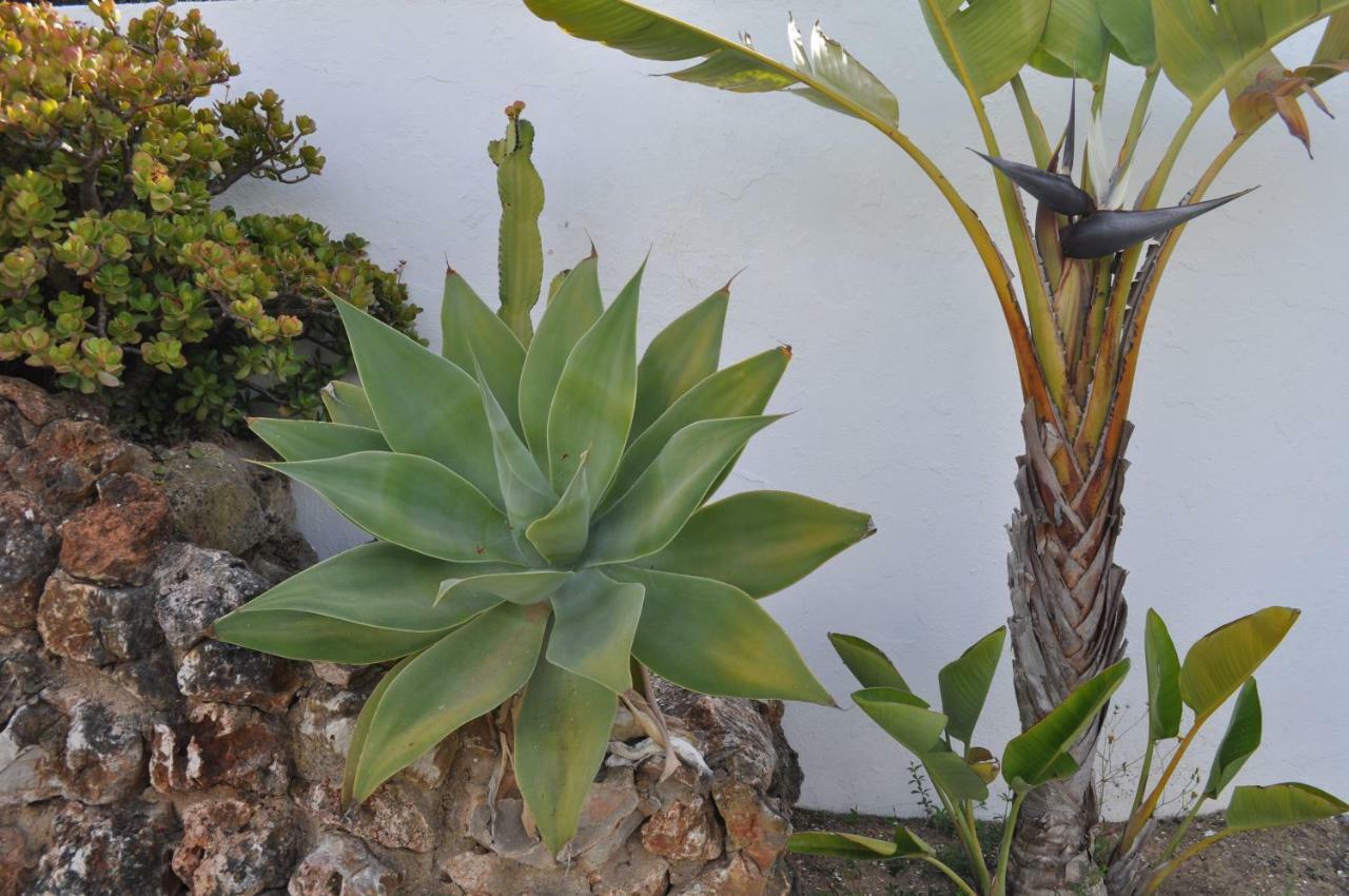 Casa Areias Boutique Apartments Albufeira Dış mekan fotoğraf